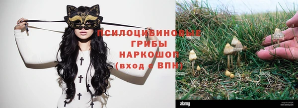 первитин Коряжма